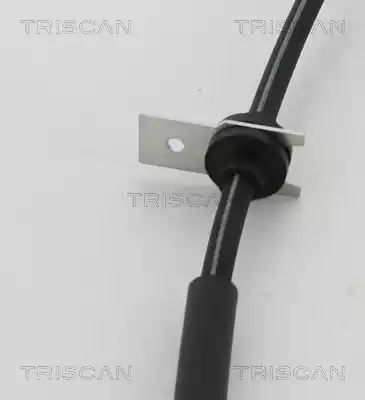 PRZEWÓD HAM. ELAST. FORD T. FOCUS 10- LE/PR Triscan 815016320