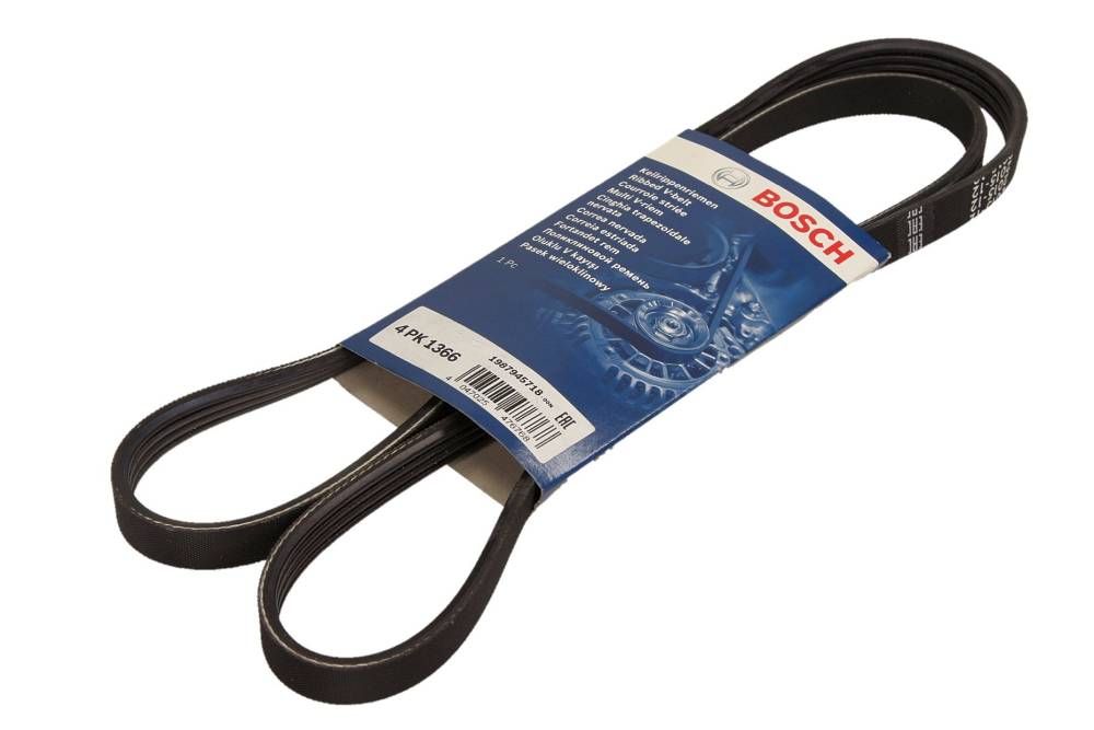 PASEK WIELOROWKOWY 4PK1366