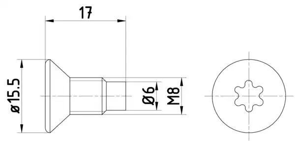 KPL=2SZT!!!! ŚRUBA TARCZY HAM. RENAULT P./T. CAPTUR/CLIO/KANGOO/LAGUNA/MEGANE/SCENIC/TRAFIC 95- Textar TPM0004