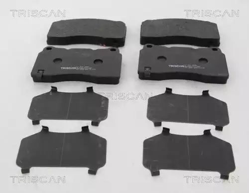 KLOCKI HAM. TESLA P. MODEL S 13- Triscan 811024048