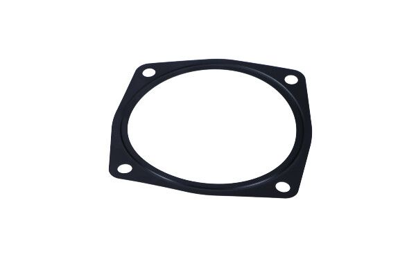 USZCZELKA PRZEPUSTNICY AUDI A8 4,2 FSI 10-13 Volkswagen Group 079133073A