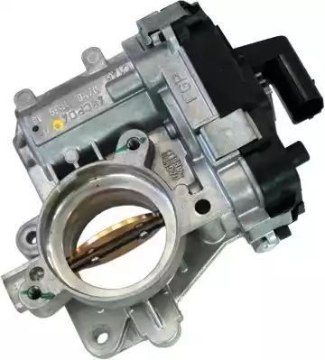 PRZEPUSTNICA OPEL ASTRA 1,9CDTI 04- Meat & Doria 89106
