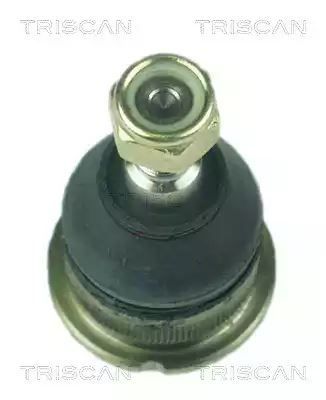 SWORZEŃ WAHACZA RENAULT P. LAGUNA I 1,6-3,0 93- Triscan 850025501