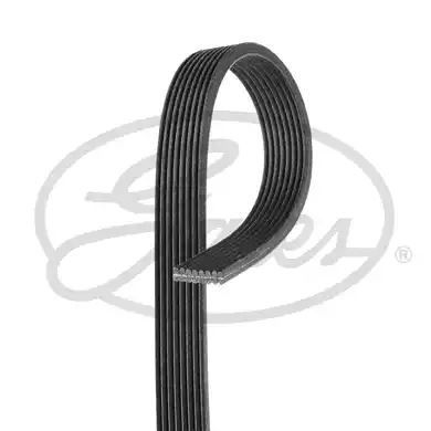 PASEK WIELOROWKOWY 8DPK1445 RANGE ROVER Gates 8DPK1445
