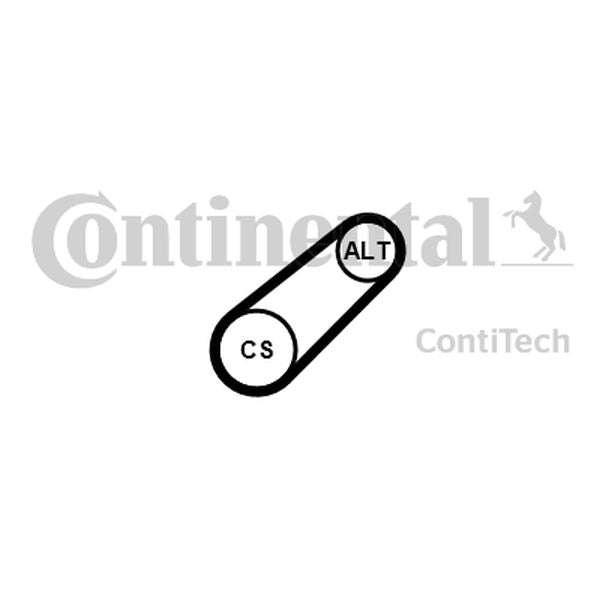 Pasek wielorowkowy 6PK701ELAST ContiTech 6PK701ELAST