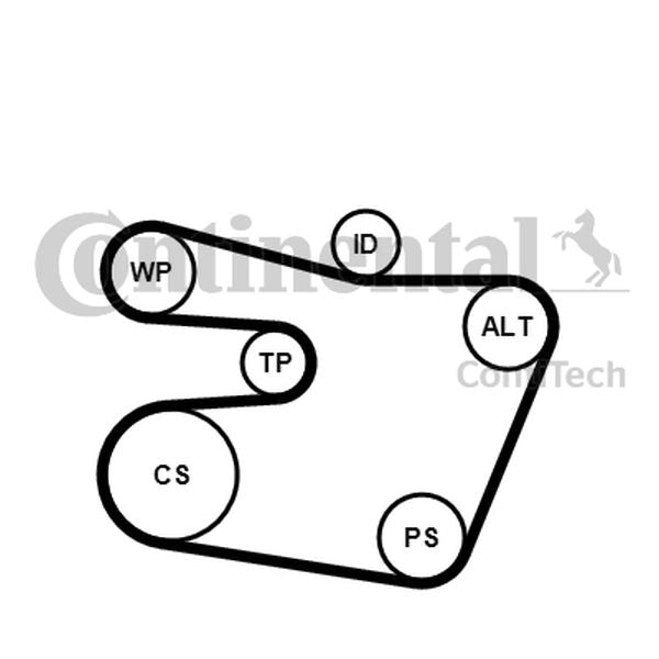 ZESTAW PASKA WIELOROWK. BMW E46 2,0-3,0 ContiTech 6PK1538K1