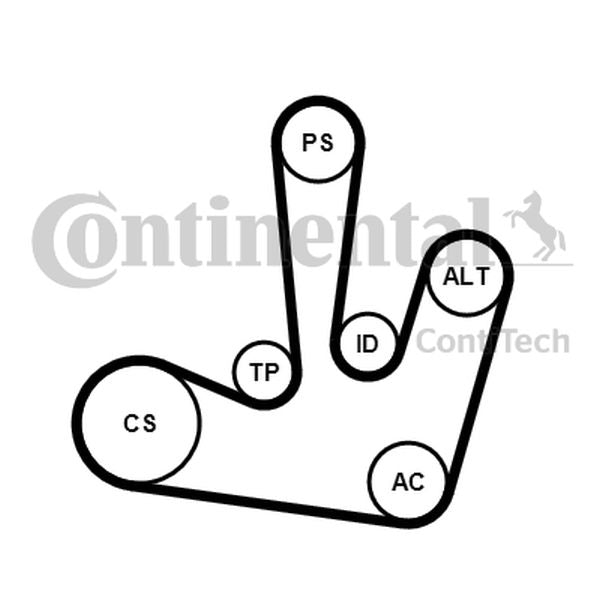 ZESTAW PASKA WIELOROWK. RENAULT 1,9DCI/2,0 LAGUNA II ContiTech 6PK1795K1